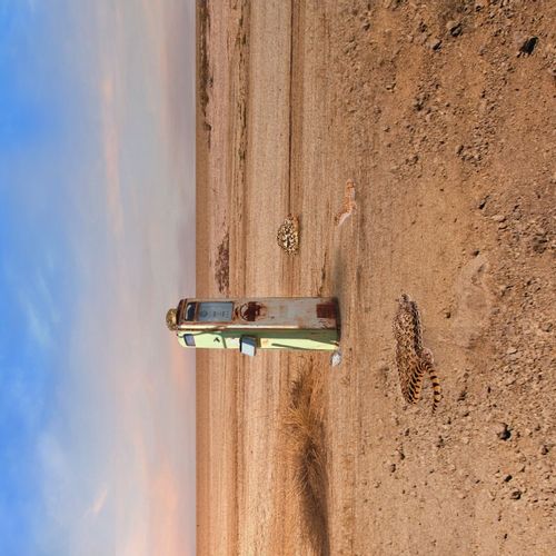 Tricot met digitale print woestijn